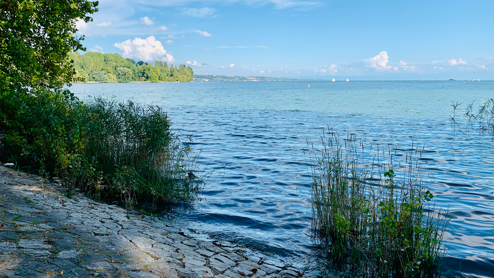 Nur wenige Schritte bis zum Wasser. Seeufer am Bodensee bei Konstanz mit Seeblick
