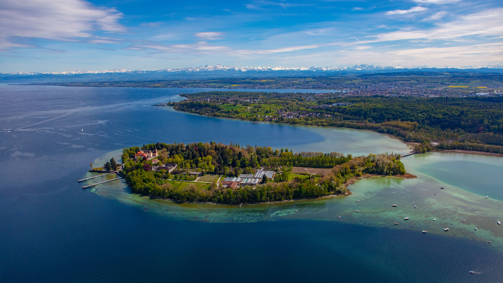 Blumen Insel Mainau, Bild von Achim Mende